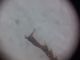 20201211_230303.jpg