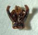DSC04790.JPG
