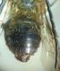 DSC04842.JPG