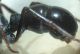 DSC04937.JPG