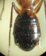 DSC04946.JPG