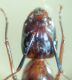DSC04943.JPG