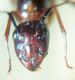 DSC04942.JPG