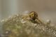 DSC_5301 1bf2.jpg