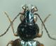 DSC05079.JPG