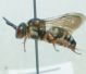 DSC01065.JPG