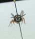 DSC01066.JPG