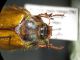 IMG_20210112_183534_compress47_resize_14.jpg