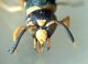 DSC05121.JPG
