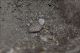 04_Boscotrecase(NA)_Vesuvio_1759_larva_grande.jpg
