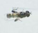 DSC012041.jpg