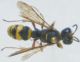 DSC011731.jpg