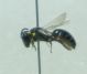 DSC010771.jpg