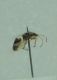 DSC012731.jpg