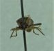 DSC012781.jpg