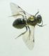 DSC011271.jpg