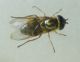 DSC012151.jpg