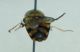 DSC012161.jpg