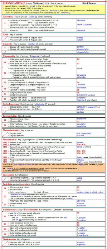 BLENNOCAMPINAE - Clé des espèces du 04.02.20 (au 14.02.21) - Image.jpg