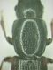 DSCF3463.JPG