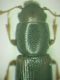 DSCF3469.JPG