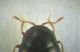 DSCF3479.JPG