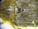 IMG_20210329_225531_compress48_resize_24.jpg