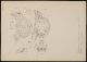 Naturalis_Biodiversity_Center_-_RMNH.ART.1737_-_Trichotarsus_anthidii_(Oudemans)_-_Mites_-_Collection_Anthonie_Cornelis_Oudemans.jpeg.jpg