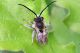 DSC_4266+4267.jpg