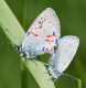Licene-B-Torricchio-29-05-2021-24.jpg