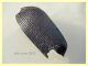elitra prob. Calosoma 10 mm. - Anzio 20.6.2021 - (3).JPG