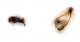 Comb3290-22zL3cr.jpg