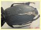 Platynus krynickii con testa 13 mm. - tenuta san rossore - Pisa - 2.7.2021 - (4).JPG