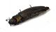 Comb3334-92zL6cr.jpg