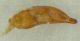 2021-09-03 18-51-53 (B,Radius8,Smoothing4)2(1).jpg