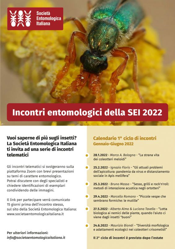 Incontri entomologici.jpg