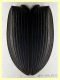 elitra Carabidae - 7 mm. - Anzio 15.12.2021 - (5).jpg