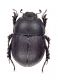 Comb3485cr-12zL6.jpg