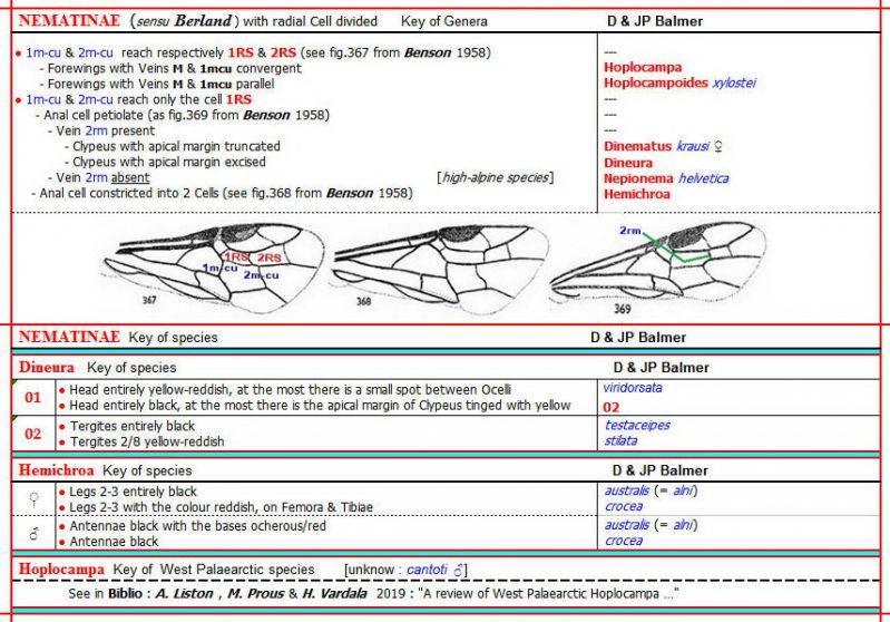 NEMATINAE  Radial Cell divided - Clé au 29.04.21 -  Dinematus, Dineura, Nepionema, Hemichroa, Hoplocampa & Hoplocampoides (Genres seult.) - Image.jpg