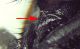 7-DSCN2612-okIT.jpg