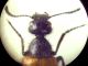 2-DSCN2646-okIT.jpg
