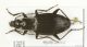 undet IMG_0176 C#00014.JPG