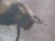 DSCN2052.JPG