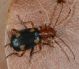 LidoDelSole160621 003mod.jpg