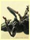 Aspidapion aeneum 3 mm. con rostro - e pianta ospite - Anzio 23.2.2022 - (8).JPG