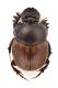 Comb3630cr-27zL6.jpg