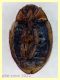 Rhyzobius chrysomeloides 2,6 mm. - Anzio 23.2.2022 - (4).JPG