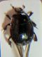 Screenshot_20220402-204808_Gallery.jpg