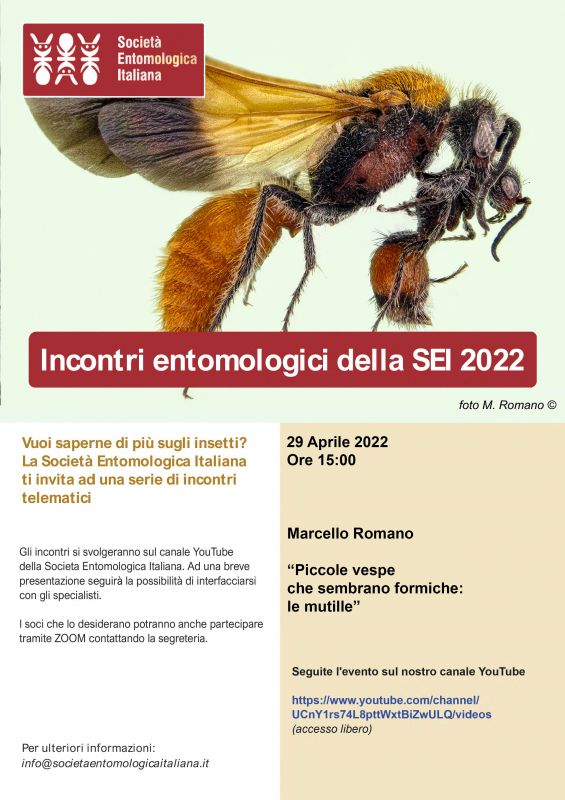 Loc entomologia_quarto-incontro_ridotta (1).jpg