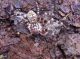 20170104-4572-1.jpg